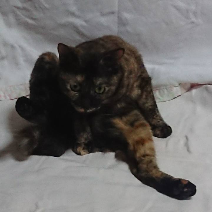 1e0d5f0f eddc 44ff 84b8 a81eae202d3d 1507546274669