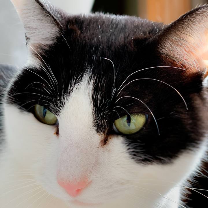 1e0dc4cc cabe 4d37 98e3 53395d6a5568 1586565381588