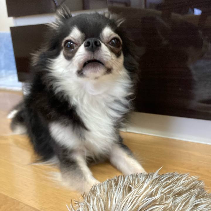 1e0dc97c 9318 49cd 8b1e c77aff124b0a 1660571558211