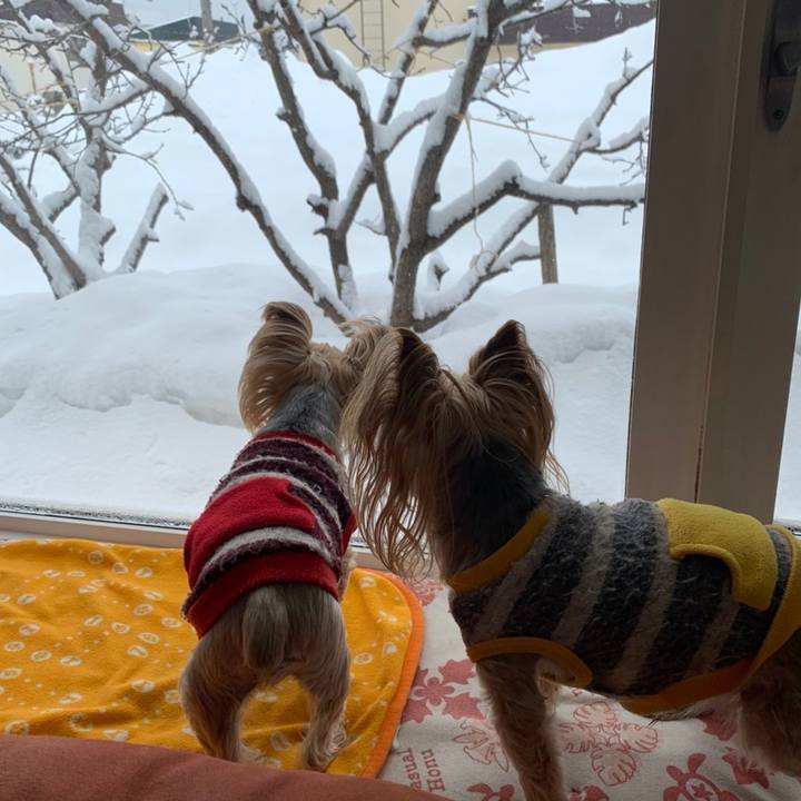 1e0dd661 ba76 4b78 be83 42e0a35693c9 1616318734037