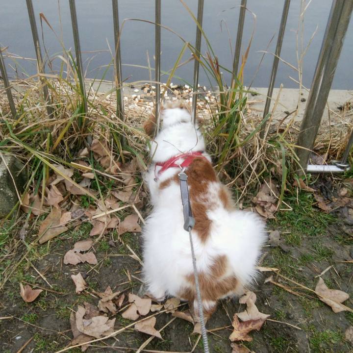 1e0df796 1e97 436e 8391 926e22247cec 1548898302488