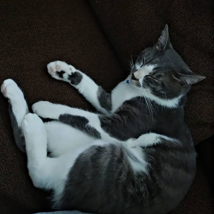 1e0e02b5 48ec 4bff b861 30ef323c0de6 1594968533201