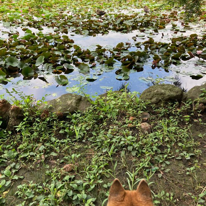 1e0e1145 8ef9 4f45 a6c7 07dfbf042570 1758264294948