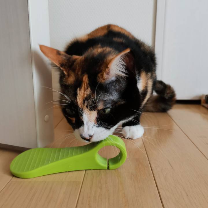 1e0e53bf ecde 4809 9637 f7ee8241f61b 1635048779775