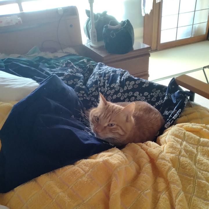 1e0e5c55 5f31 4da8 a610 a97fd10790a5 1671753080177