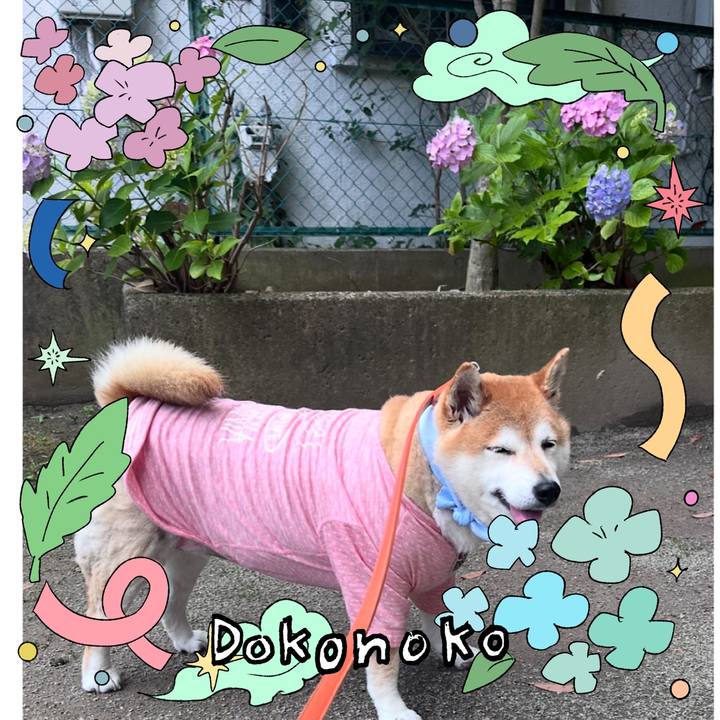 1e0e5f88 7543 4986 8a77 205e82b1399f 1717675859497