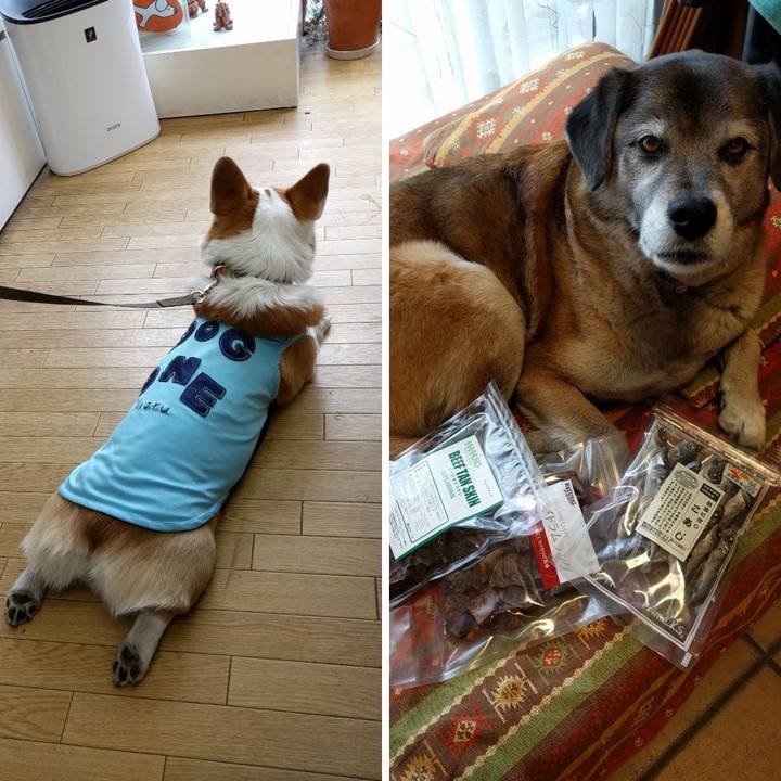 1e0e8570 b773 4141 a90c cf6e1b312d7e 1552197284807