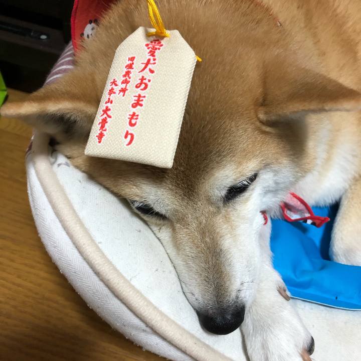 1e0e90ce 7873 4dd8 88c0 7dbe44198fd4 1600648621503