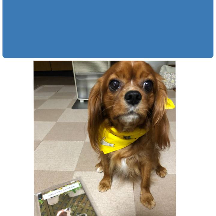 1e0ed283 b1f3 404c b053 ba84e9e0881c 1540642734932