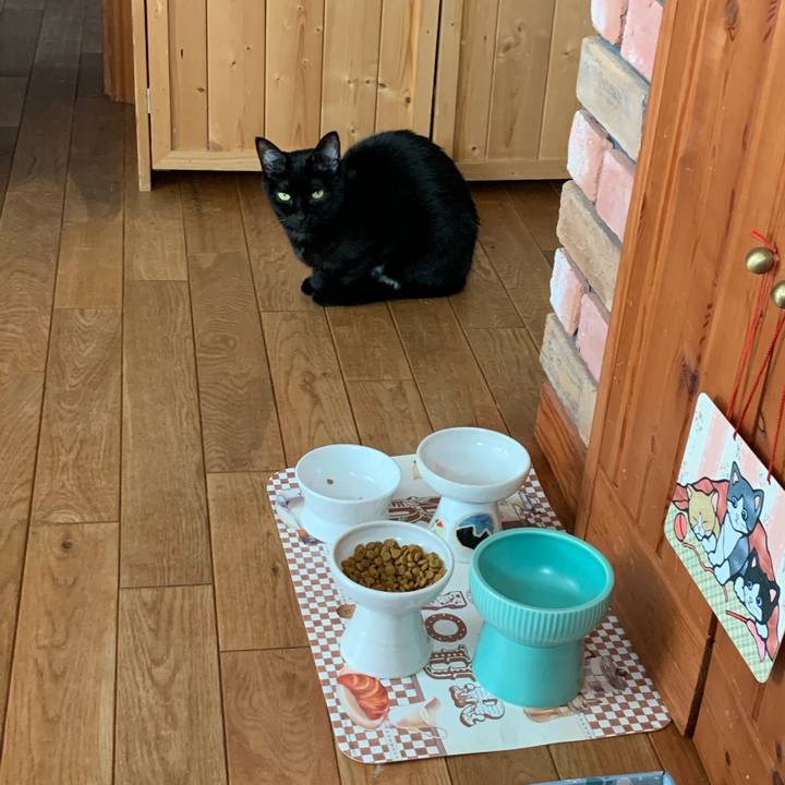 1e0edc53 b266 4e3d a6c9 bc096cd8c453 1610771317000