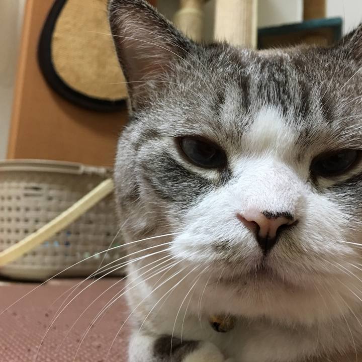 1e0efe01 2035 46b4 817d c699169bf2df 1508057781045