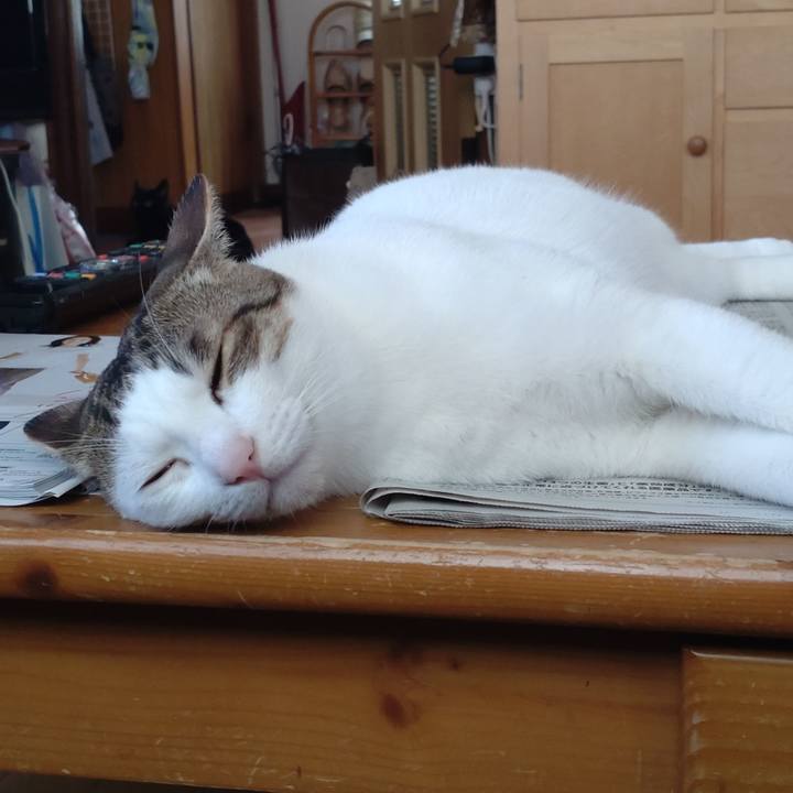 1e0f0b1d 375d 441a 8928 4ea134e3b658 1690071649148