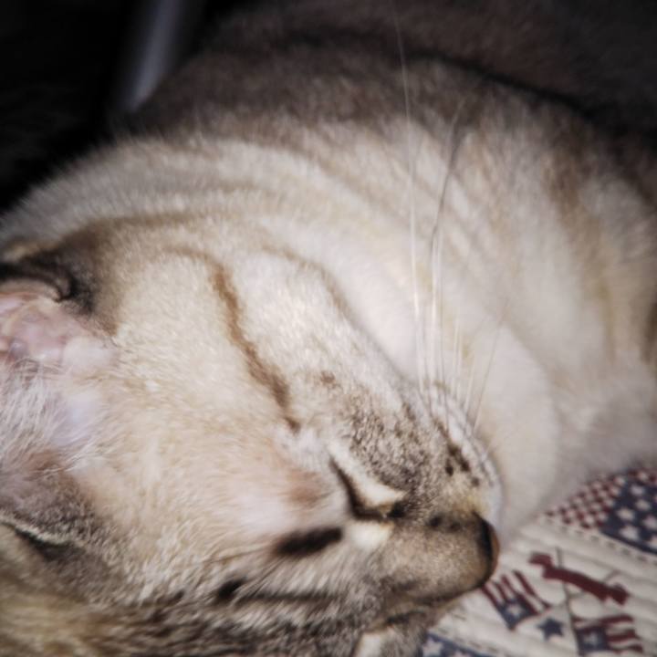 1e0f24e2 61c9 4359 ad62 0af9ebedd0ca 1538239929940