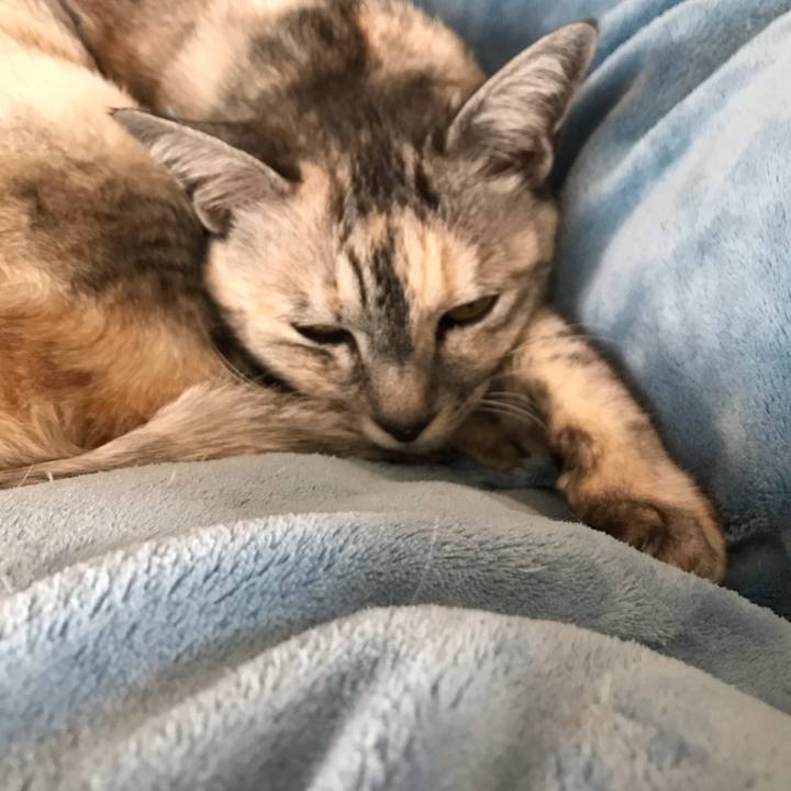 1e0f3ea3 149e 491b 95f2 6b80edeb1f60 1608007805478