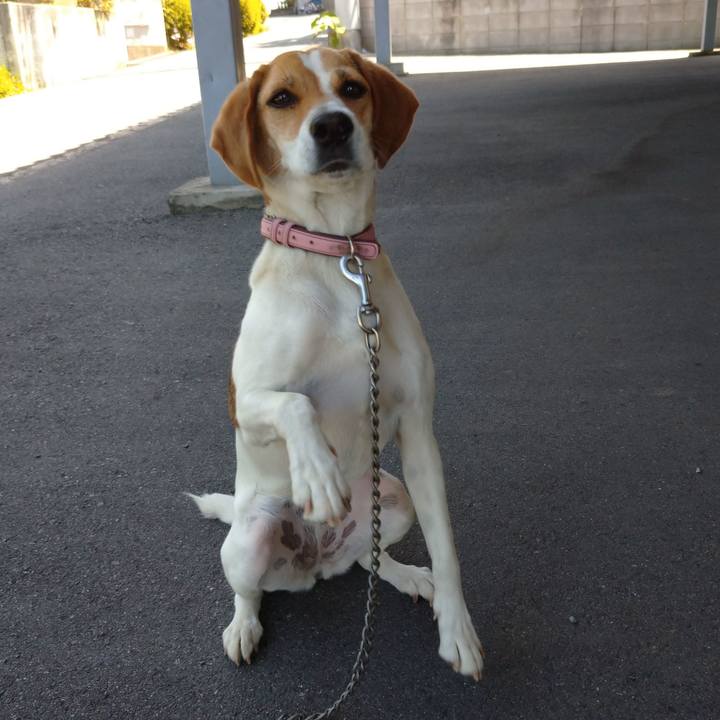 1e0f5f37 ea5b 46e9 b3d5 95621b2d0a5b 1595473273049