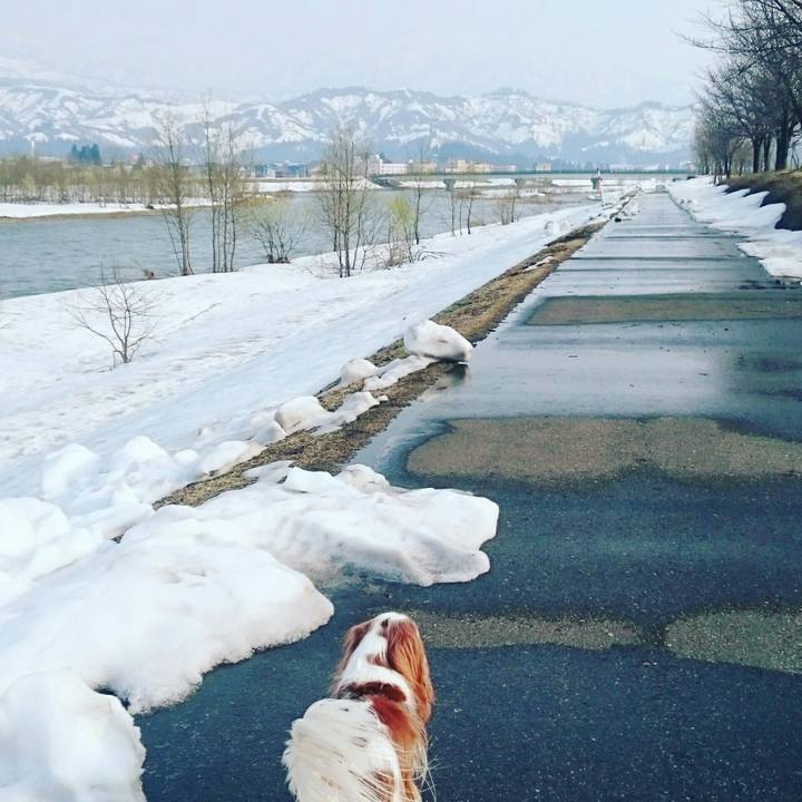 1e0f9d60 c9d8 4402 9ef1 d0d715b5ffad 1522660112738