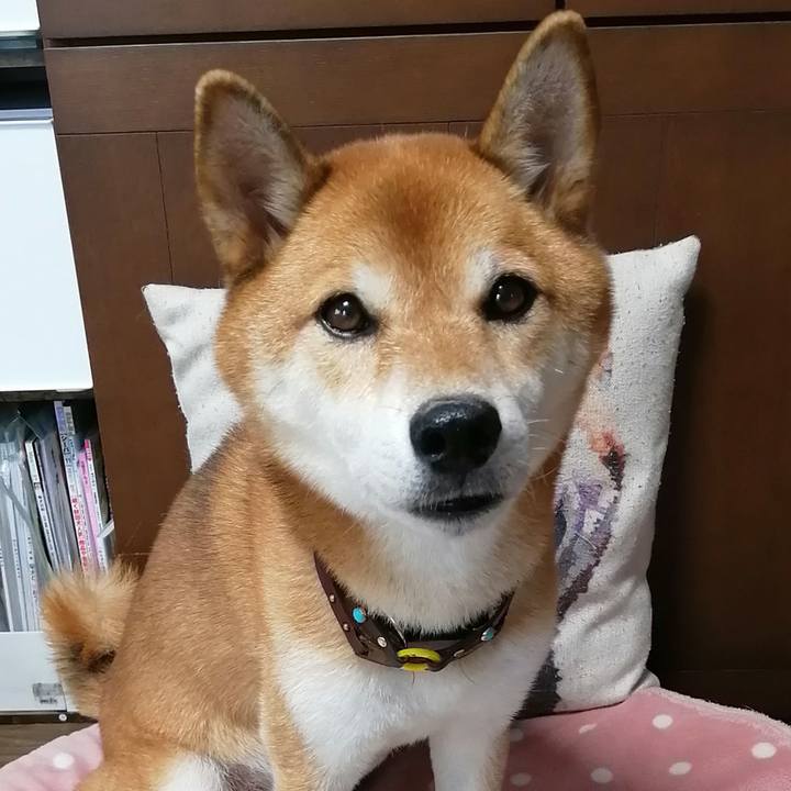 1e0ff73a 4c2e 4442 b7af c9b588295676 1630301483831