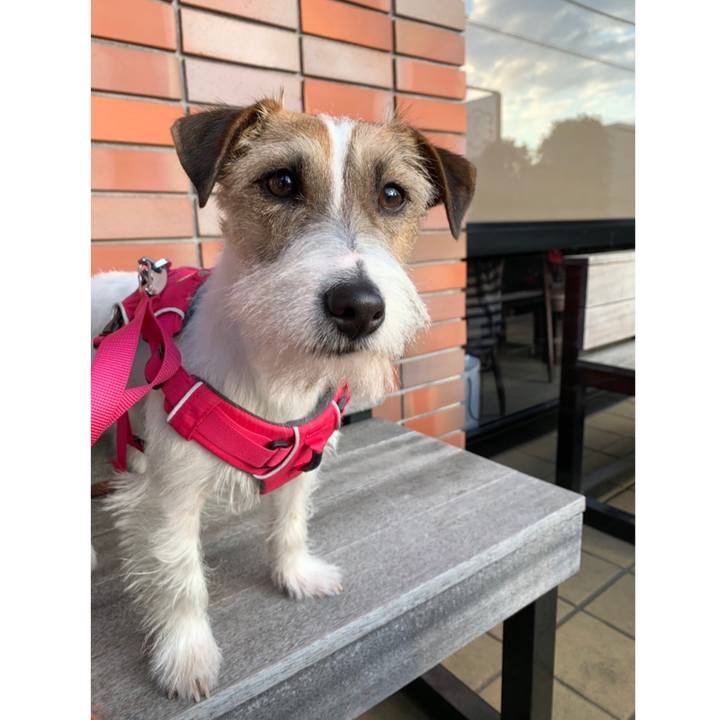 1e10246d bc04 47fe b7dc c1a11e778591 1584015628727