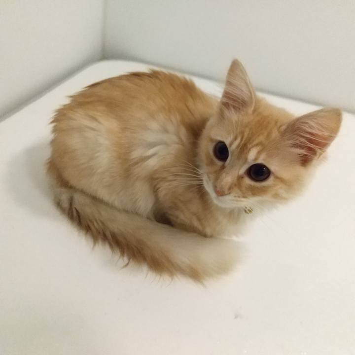 1e1057ff ca20 4a34 b536 cdc338005795 1608071724157