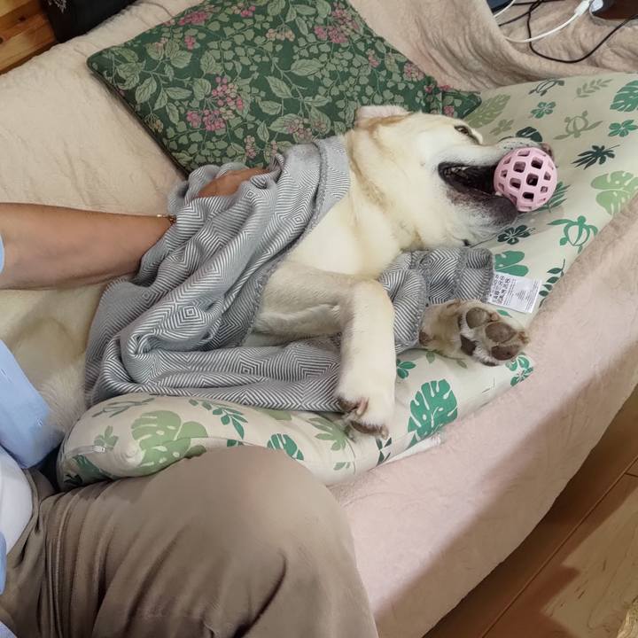 1e106492 8165 49a9 88ef f818b72e7261 1652502724858