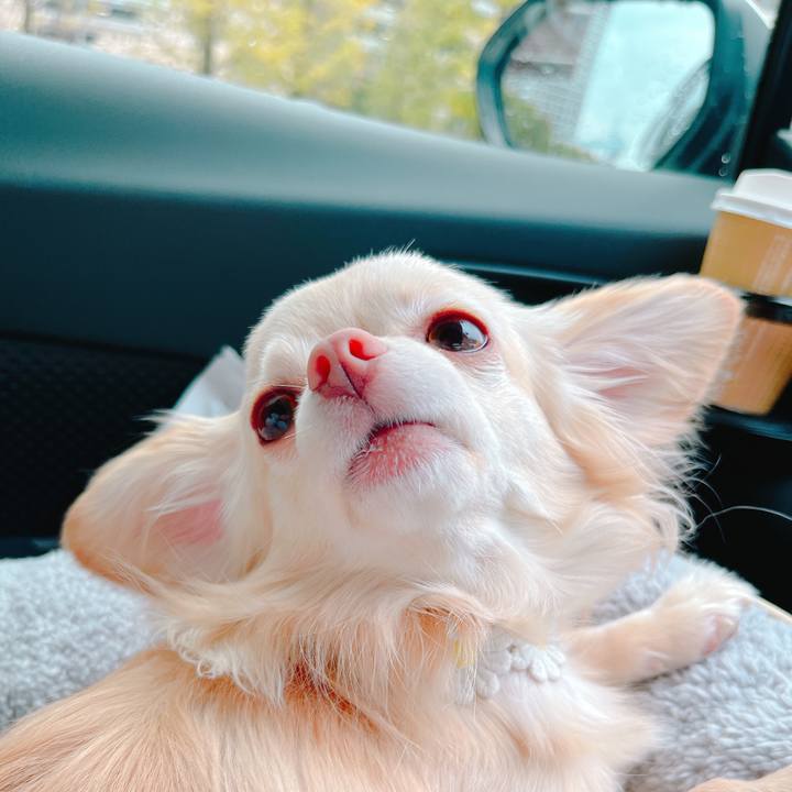 1e108c30 6748 4095 9ca0 d33b7eef052f 1648969097074