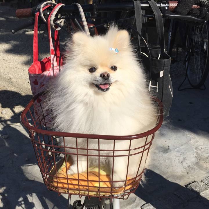 1e10ae71 b4df 41f1 9d6c 30cbeeefa602 1609564304400