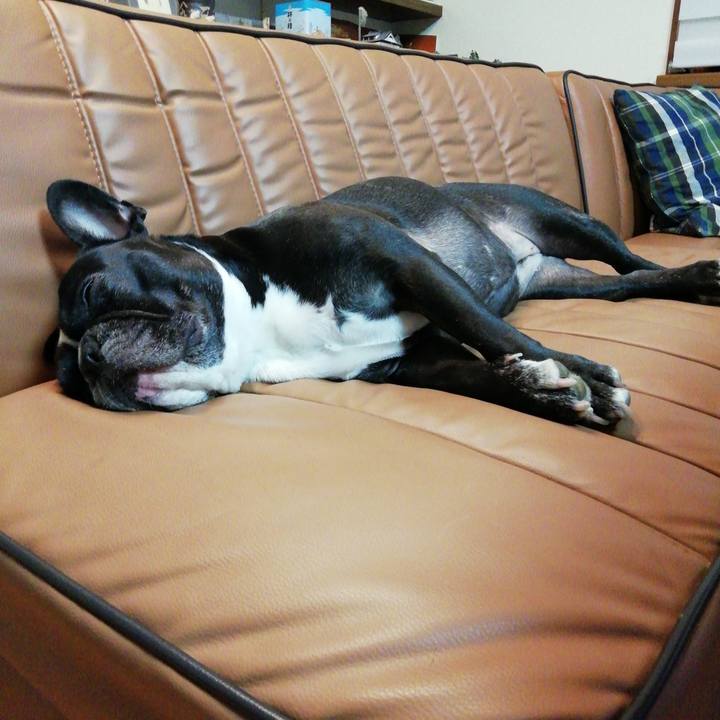 1e10b9ab 09a1 43d9 b858 c14d3bd54582 1533210078448