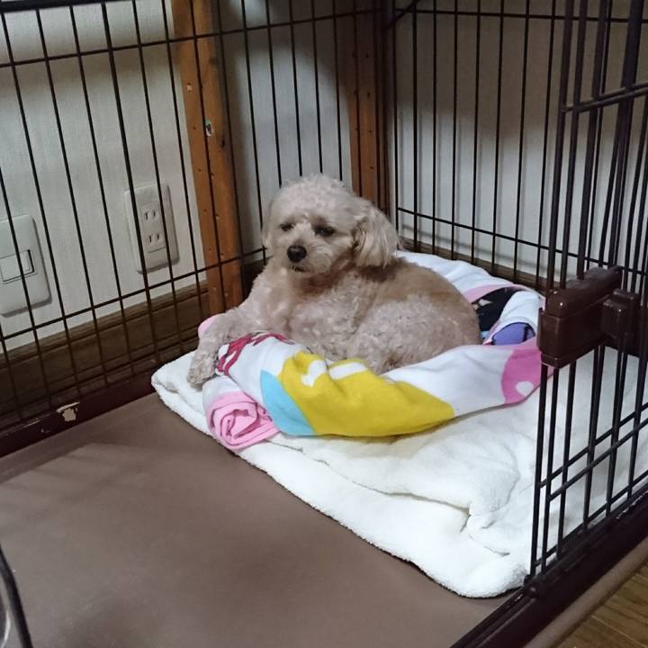 1e10e0a9 8e28 4586 a86f 2a83f5f11c96 1570968614373