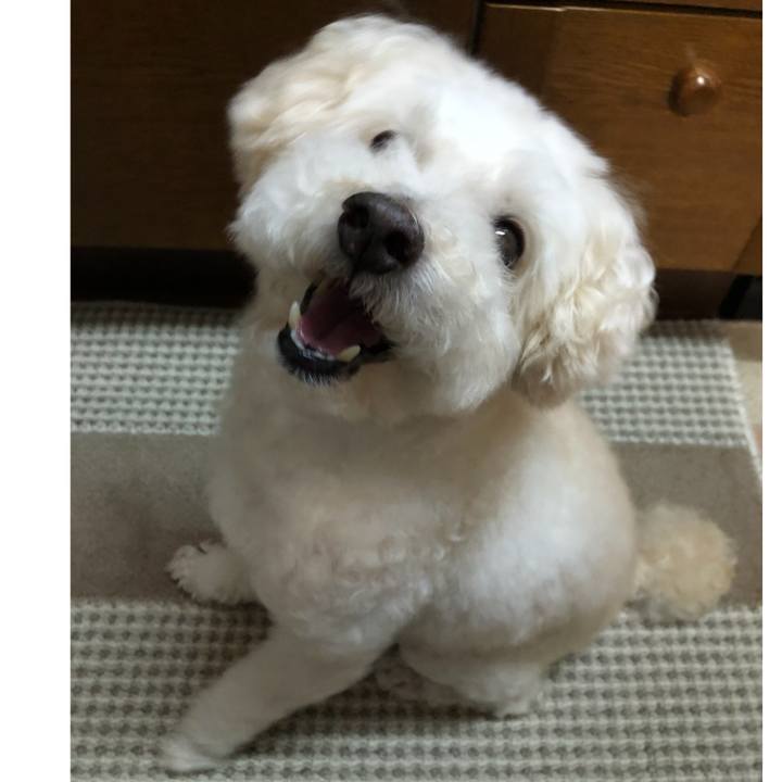 1e1115b8 4414 46a9 a718 dae6cb8acf96 1534463290106