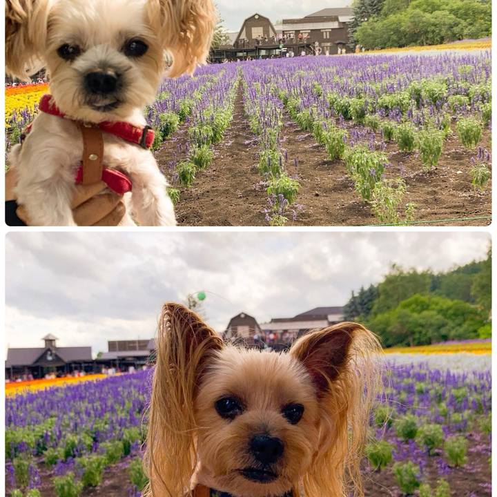 1e1115d5 4589 42a0 bbfe 0d7f58631b9e 1753697160381