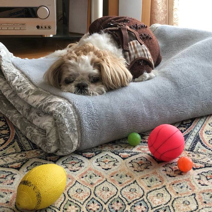 1e1123f8 1219 48c5 8873 5ec4d65e8a37 1555019170198