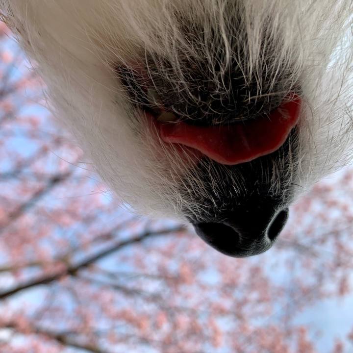 1e11316e 4e14 4a7d a449 0bdd43f59299 1678614678519