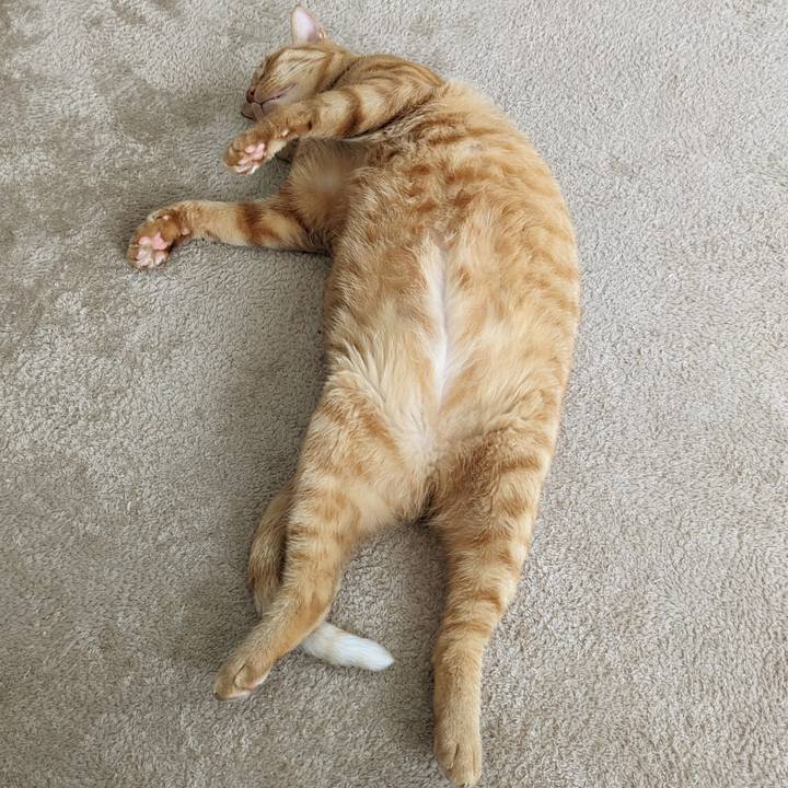 1e113297 aa72 4fc5 a56d cbbd5f8db5db 1695789995571