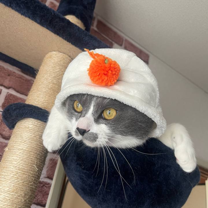 1e1149dc cd9e 465e 8f38 92dc6964df9f 1672537215838