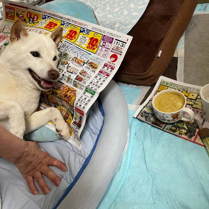 1e116e18 4459 4417 bb1c 0d25feadae5d 1654355918871