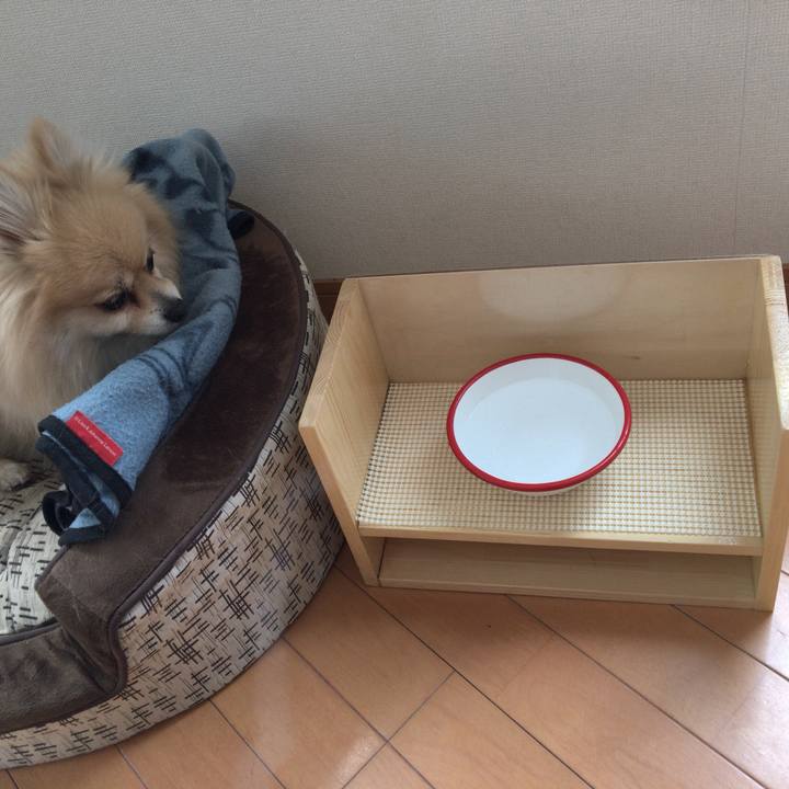 1e11977b 2fa1 4f0b 9f77 4512322ebb10 1520293606772