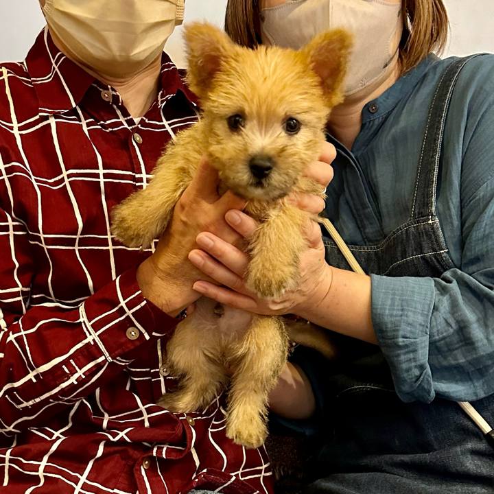 1e11b09d cbca 454a b89c df5c8c53c8ab 1700921043935