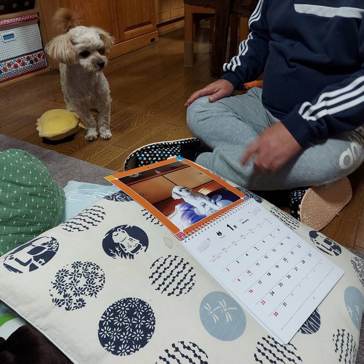 1e11d73a d58e 4179 a7c1 40948007f705 1637230302257