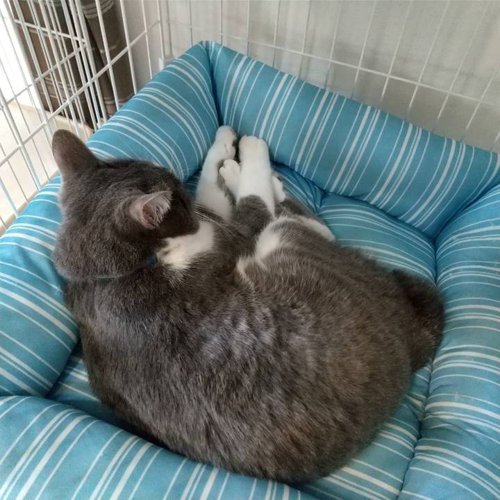 1e11de8b ef19 4ba3 9cdc dd9338068fbc 1644903956326