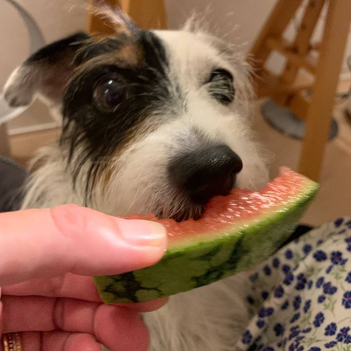 1e11e6e7 7d26 4d6f 8f25 f21983972c10 1659354423716