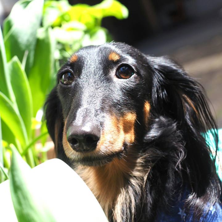 1e1214b2 02cf 41b5 b259 36a8293e7021 1521942296695