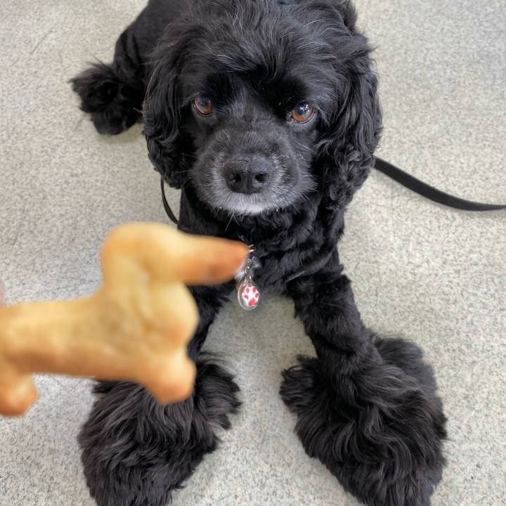 1e122b56 c2b0 42c8 9d16 7a677a95ee91 1629763318966