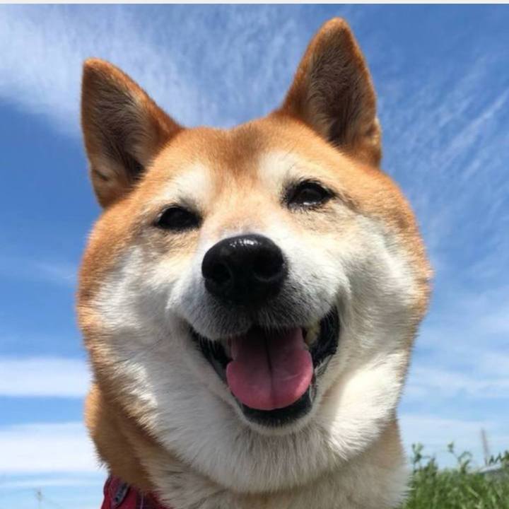 1e124876 2ee4 4b4e a015 9eb340680d68 1701239426665