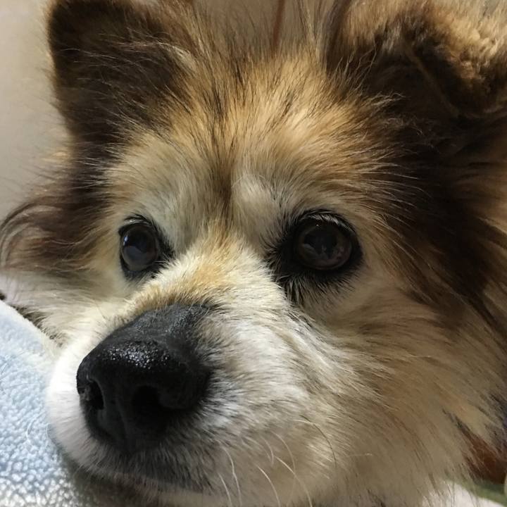 1e1280b2 2af2 495d 879f 1554adfc74ba 1565071242226