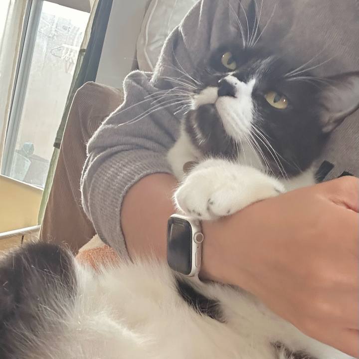 1e129d01 b5fe 4157 9759 e273bb2e4eb0 1765500819489