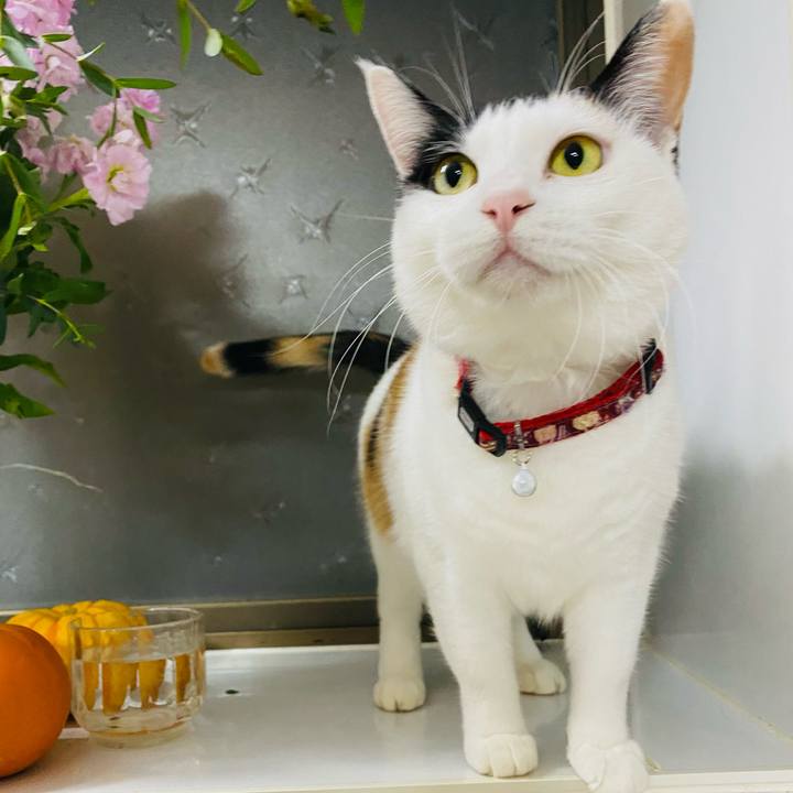 1e12fe54 9a14 41be 99ad 2ea7ef407500 1671967379416