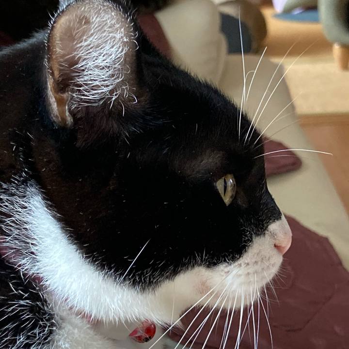 1e133abd b501 49f0 9226 bf1f69011a1f 1615096036100