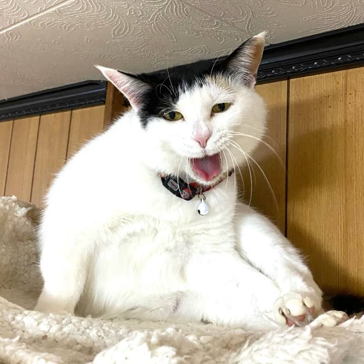 1e134983 65ec 443c 88b8 02e04206c368 1680300295330