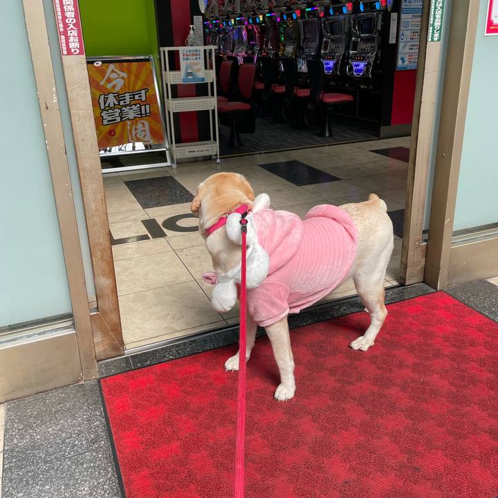 1e135689 e239 4829 a4af e2ec434b672d 1634537140824