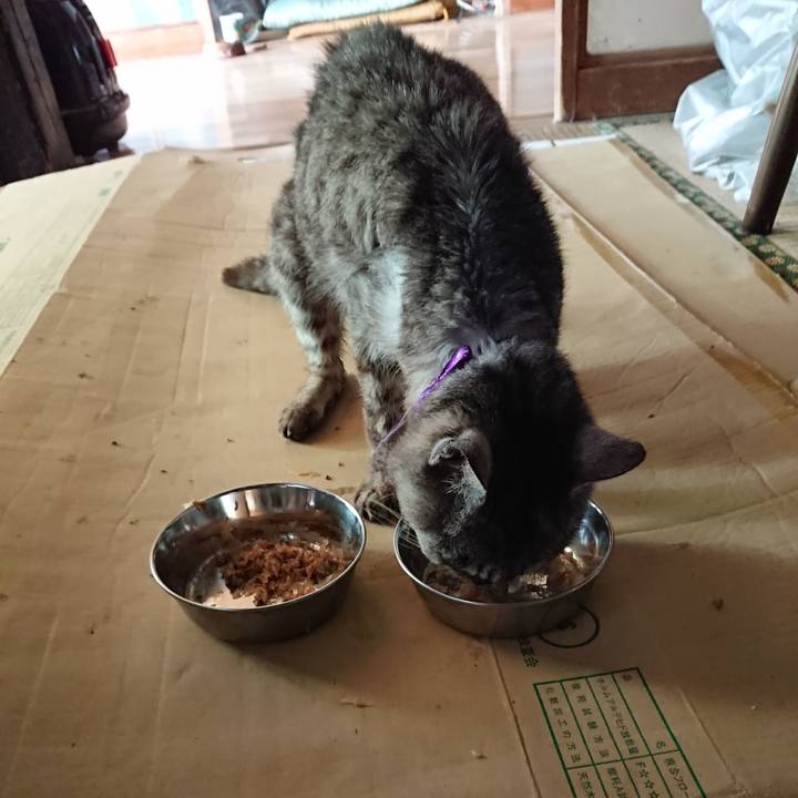 1e137b50 aba5 494e 8449 e83bcc06e38c 1597549919655